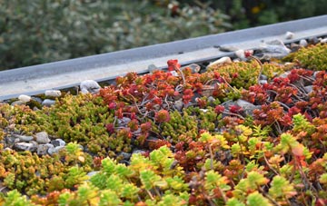 the cost of Llangadfan green roof installation