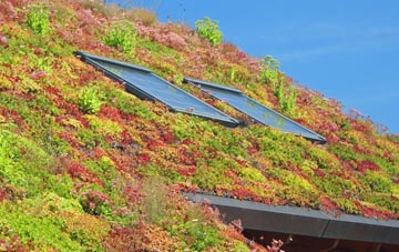 Llangadfan living roof systems