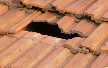 roof repair Llangadfan, Powys